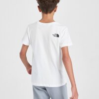 Koszulka dziecięca THE NORTH FACE T-SHIRT MOUNTAIN T WHITE nf0a8egsfn41 kolor biały