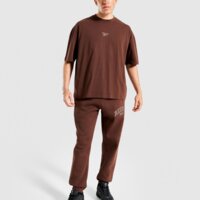 Koszulka męska REEBOK T-SHIRT DANNY VARSITY 100240565 kolor brązowy