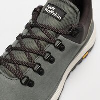 Męskie buty outdoor JACK WOLFSKIN TERRAVENTURE URBAN LOW M 40553814136 kolor szary
