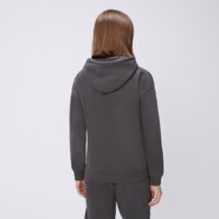 Damska bluza FILA BLUZA Z KAPTUREM SANDRA fw25spw030291 kolor szary