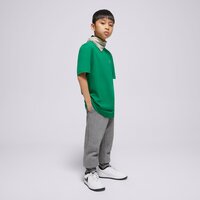 Koszulka dziecięca JORDAN T-SHIRT JDB JUMPMAN AIR EMB BOY 95d266-e1p kolor zielony