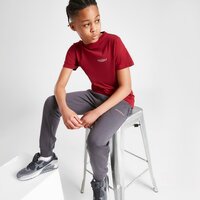 Spodnie dziecięce MCKENZIE ESSENTIAL JOGGERS JUNIOR mcktj15367040 kolor szary