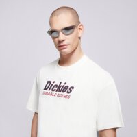 Koszulka męska DICKIES T-SHIRT WILLISTON TEE SS dk0a87ylc481 kolor beżowy