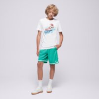Spodenki dziecięce NIKE SZORTY B NK DF DNA 24 SHORT BOY fj6802-324 kolor zielony