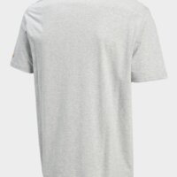 Koszulka męska NEW ERA T-SHIRT NBA TEAM WARRIORS GOLDEN STATE WARRIORS 60416754 kolor szary