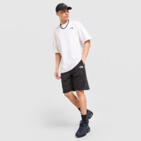 Koszulka męska THE NORTH FACE T-SHIRT M LIQUID BOX NSE OVERSIZE nf0a8g9wfn41 kolor biały