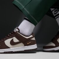 Damskie buty NIKE WMNS DUNK LOW SE io4244-102 kolor brązowy