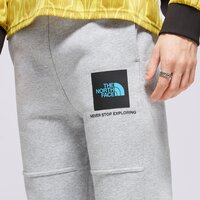 Spodnie męskie THE NORTH FACE SPODNIE FINE BOX PANT GYM pant2 kolor szary