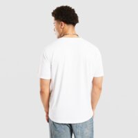 Koszulka męska COLUMBIA T-SHIRT COLUMBIA HIKE CREW 1990391100 kolor biały