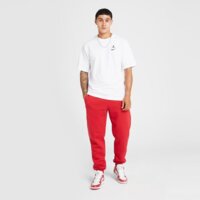 Koszulka męska JORDAN T-SHIRT BROOKLYN VARSITY ii2337-100 kolor biały