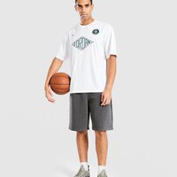 Koszulka męska T SHIRT M JORDAN ESS STMT GFX SS TOP fv7263-100 kolor biały
