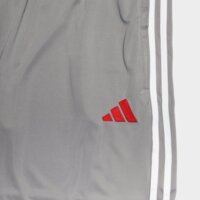 Męskie spodenki ADIDAS SZORTY TIRO ES JSY jv5755 kolor szary