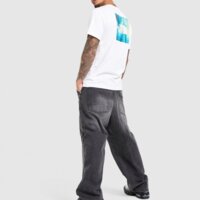 Koszulka męska THE NORTH FACE T-SHIRT M PHOTO MIX RAIN REGULAR nf0a8hd9fn41 kolor biały