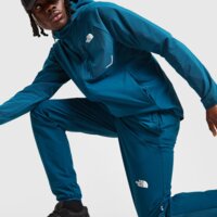 Spodnie męskie THE NORTH FACE SPODNIE PERF PANT MID.PET nf0a8ajr1no1 kolor zielony