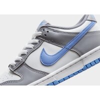 Buty dziecięce NIKE DUNK LOW BG fb9109-121 kolor szary