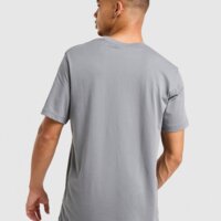 Koszulka męska NIKE T-SHIRT NSW AIR MAX if0014-065 kolor szary