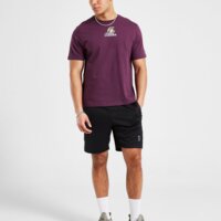 Koszulka męska NEW ERA T-SHIRT LOS ANGELES LAKERS 60669961 kolor fioletowy