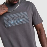 Koszulka męska MCKENZIE T-SHIRT LEVY mcktm17219064 kolor szary