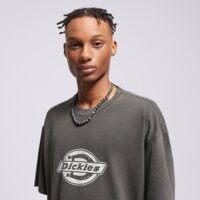 Koszulka męska DICKIES T-SHIRT PLAINVILLE SS TEE dk0a88gnblk1 kolor szary