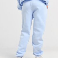 Spodnie damskie JORDAN SPODNIE W J BRKLN FLC PANT 24 fv7077-407 kolor niebieski