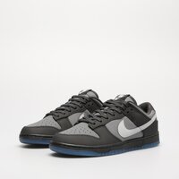 Męskie buty NIKE DUNK LOW fv0384-001 kolor szary