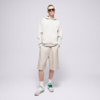 JORDAN BLUZA Z KAPTUREM JORDAN BROOKLYN FLEECE fv7281-050 kolor szary