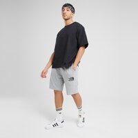 Męskie spodenki THE NORTH FACE SZORTY nf0a88ardyx1 kolor szary