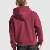 Bluza dziecięca UNLIKE HUMANS BLUZA ROZPINANA Z KAPTUREM INTER ulhtjb10373660 kolor bordowy