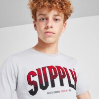 Koszulka dziecięca SUPPLY&DEMAND T-SHIRT ZUNI suptjb17350057 kolor szary
