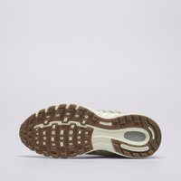 Damskie buty NIKE W AIR PEGASUS 2005 SDE  hj5271-002 kolor beżowy