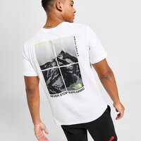 Koszulka męska THE NORTH FACE T-SHIRT MOUNT SHADE T WH/GY nf0a899nfn41 kolor biały