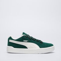 Męskie buty PUMA PARK LIFESTYLE EASY SD 40070704 kolor zielony