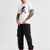 Koszulka męska JORDAN T-SHIRT M J BRAND GFX SS CREW3 fd7031-100 kolor biały