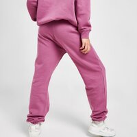 Spodnie damskie NIKE SPODNIE TREND CUFFED JOGGERS bv4089-507 kolor bordowy