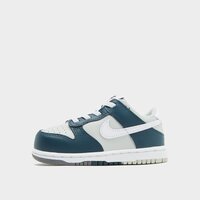 Buty dziecięce NIKE DUNK LOW fb9107-300 kolor szary