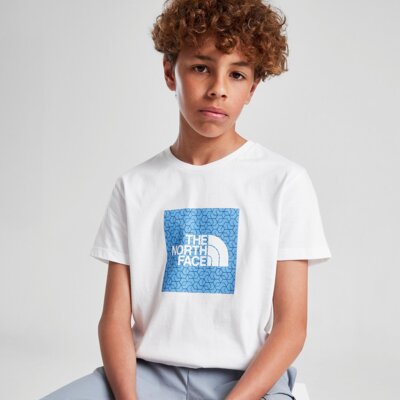 THE NORTH FACE T-SHIRT BOX GEO T WHITE/BLUE B