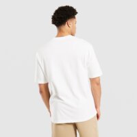 Koszulka męska JORDAN T-SHIRT M J BRK VRSTY GFX SS CREW if3127-100 kolor biały