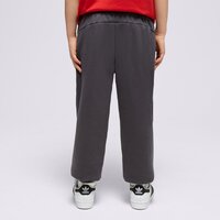 Spodnie dziecięce PUMA SPODNIE CORE PANT 67275617 kolor szary
