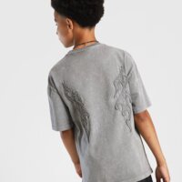 Koszulka dziecięca SUPPLY&DEMAND T-SHIRT DAR TEE suptjb17931171 kolor szary