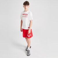 Koszulka dziecięca NIKE T-SHIRT B NK DF MULTI SS TOP GX LOVE hj3743-101 kolor biały