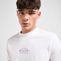 Koszulka męska MCKENZIE T-SHIRT JOLLA TEE WHT-WHT mcktm16773010 kolor biały