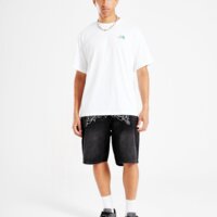 Koszulka męska THE NORTH FACE T-SHIRT BAL COMP OS T WHT nf0a8gcvfn41 kolor biały