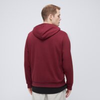 FILA BLUZA Z KAPTUREM TAZ 2.0 fw24spm024545 kolor bordowy