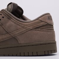 Męskie buty NIKE DUNK LOW RETRO SE  ib6651-200 kolor brązowy