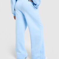 Spodnie damskie JORDAN SPODNIE W BROOKLYN FLEECE OH io1077-422 kolor niebieski