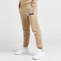 Spodnie męskie PUMA SPODNIE KEY GRAPHIC PANTS FL 62303630 kolor beżowy