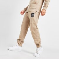 Spodnie męskie THE NORTH FACE SPODNIE FINE BOX PANT FLAX pant3 kolor beżowy