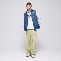 Męski bezrękawnik THE NORTH FACE BEZRĘKAWNIK NEW LT GILET BWT nf0a5imvn4l1 kolor niebieski