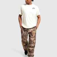 Koszulka męska NIKE T-SHIRT NSW GFX II iq5482-113 kolor beżowy