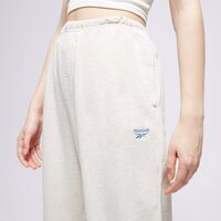 Spodnie damskie REEBOK SPODNIE CL AE ARCHIVE FIT FT PANT ic8096 kolor biały